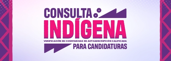 Consulta Indígena 2026